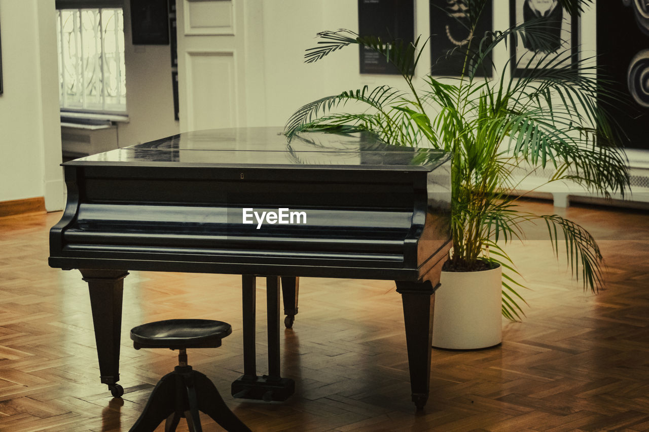 Potted plant on table at home and a piano 