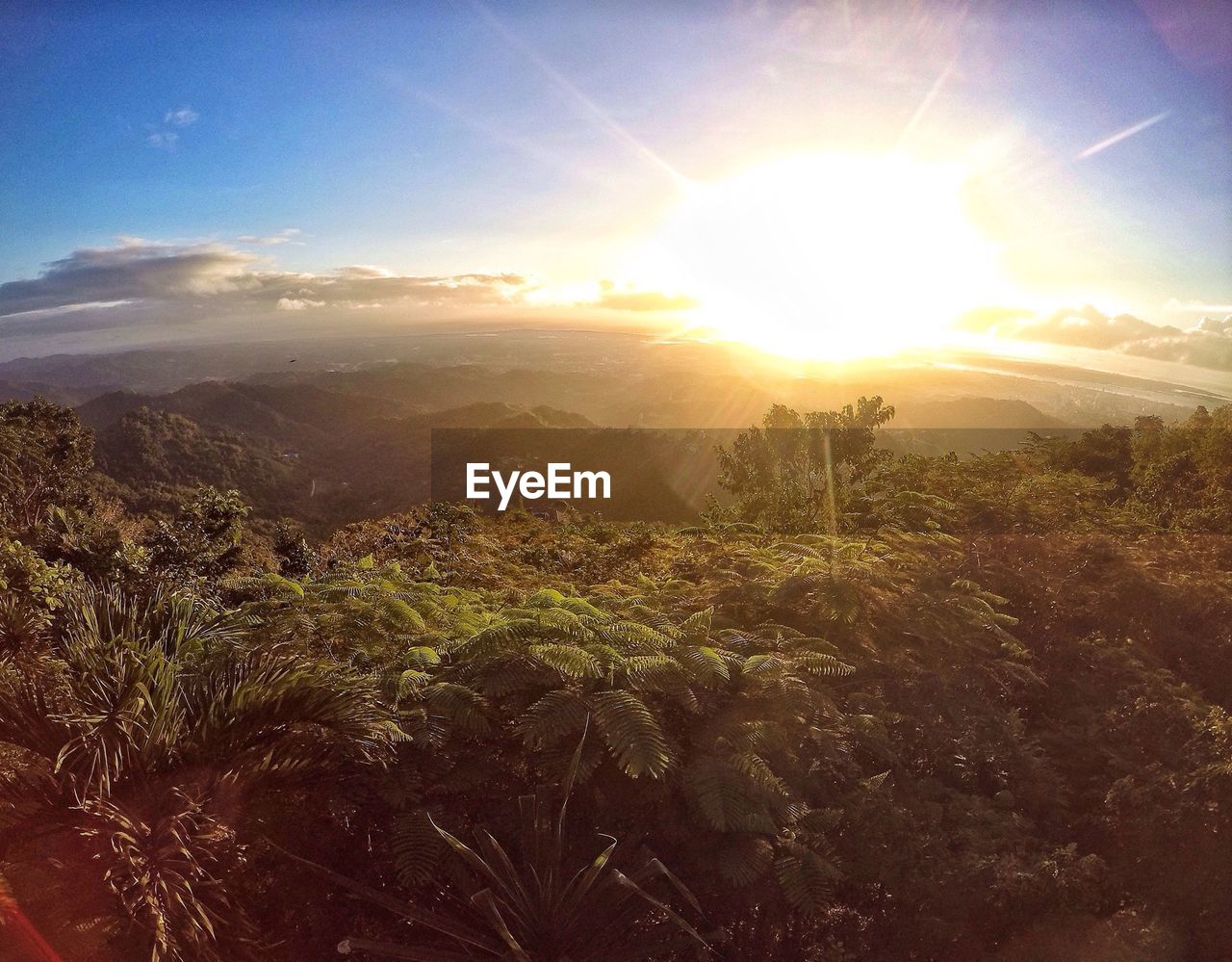 Scenic view of landscape against sky during sunset