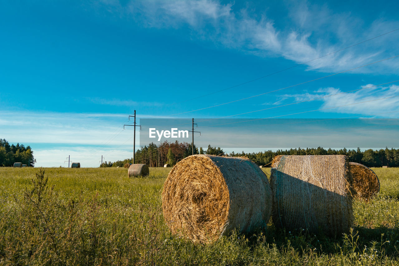 bale, hay, landscape, sky, agriculture, plant, field, rural scene, land, environment, farm, nature, grass, rural area, cloud, harvesting, crop, scenics - nature, beauty in nature, rolled up, tranquility, tree, hill, tranquil scene, blue, straw, cereal plant, no people, prairie, pasture, haystack, grassland, meadow, corn, outdoors, sunlight, summer, growth, non-urban scene, plain, idyllic, day, horizon, food and drink, technology