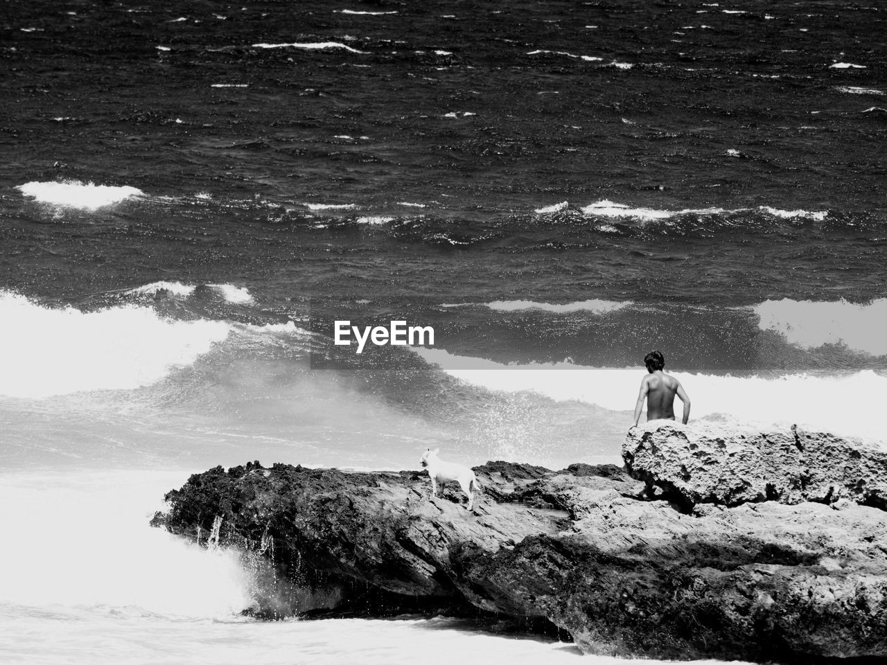 Rear view of shirtless man with dog on rock at sea shore