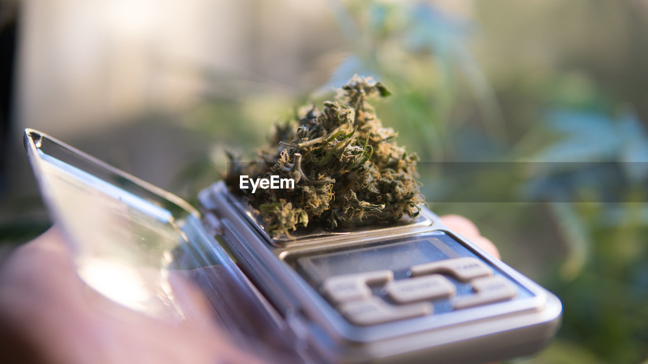 CLOSE-UP OF CIGARETTE IN CONTAINER ON TABLE