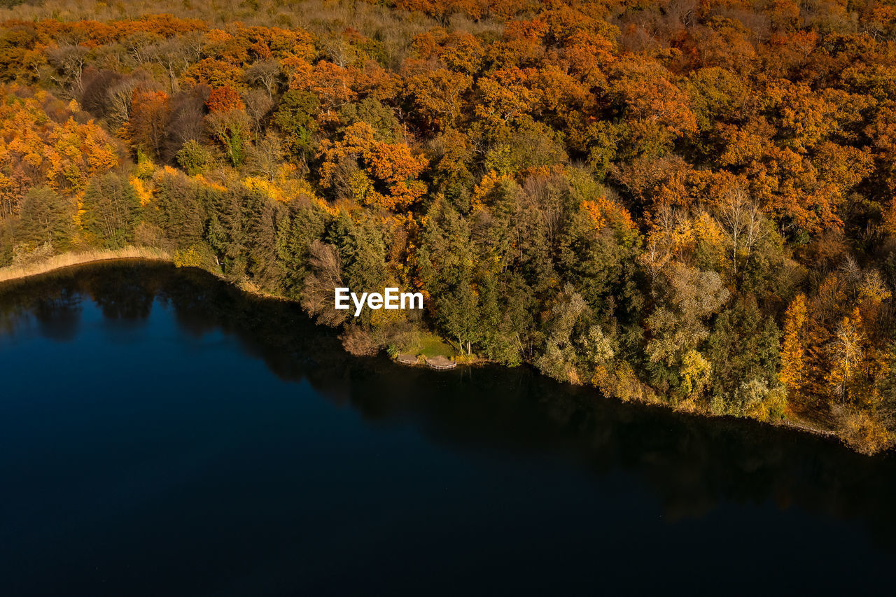 Aerial view of a blue lake next to autumn colors of a deciduous forest in hesse