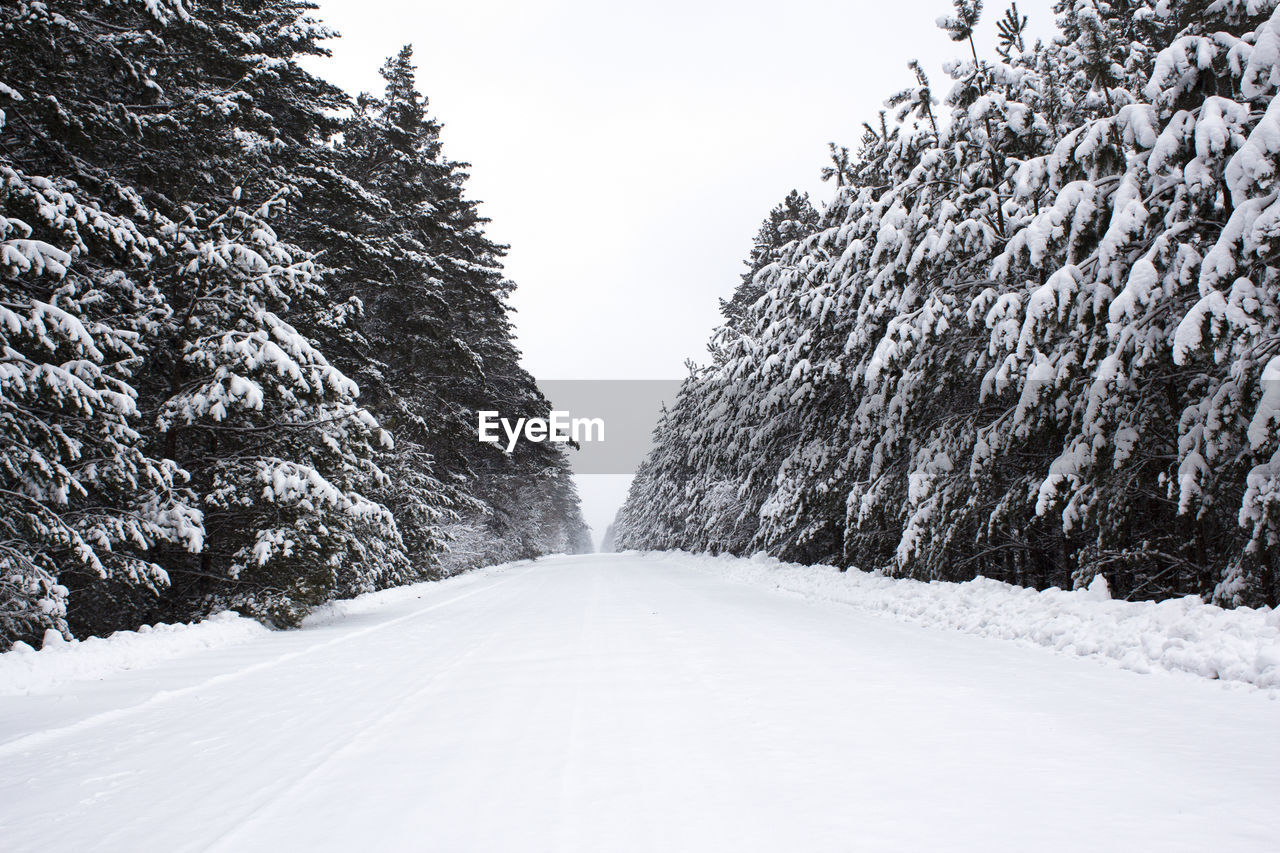 Long white road in the forest. fir trees grow along the roads. all trees are covered with snow.
