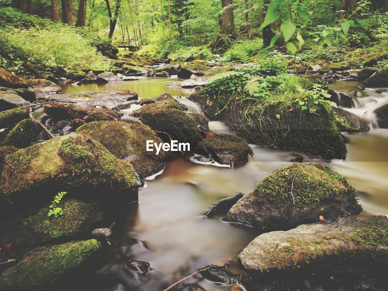 River flowing through rocks in forest