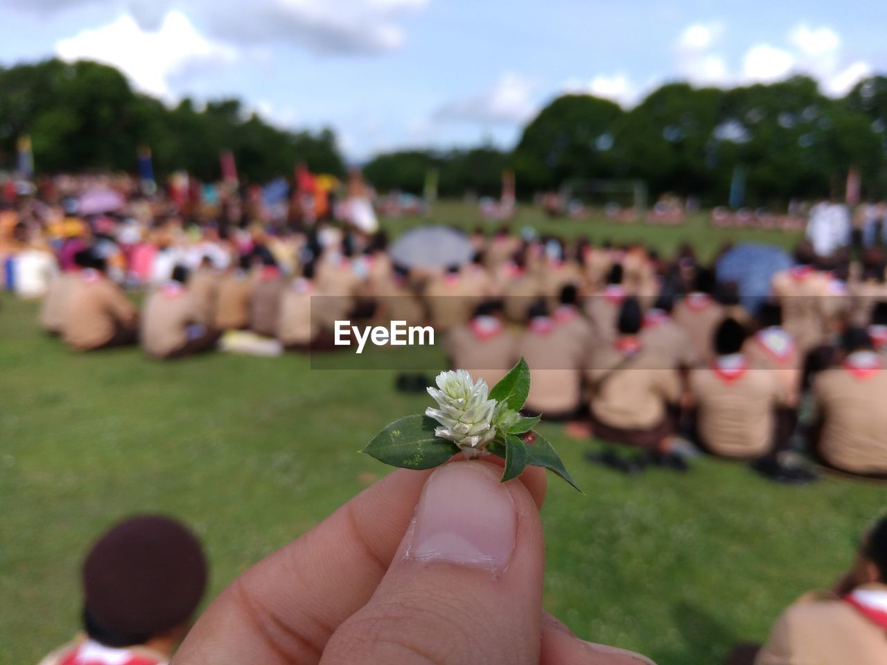 Close-up of hand holding flower