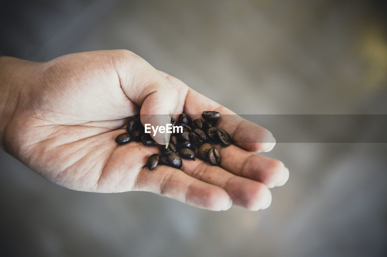 Close-up of hand holding coffee beans