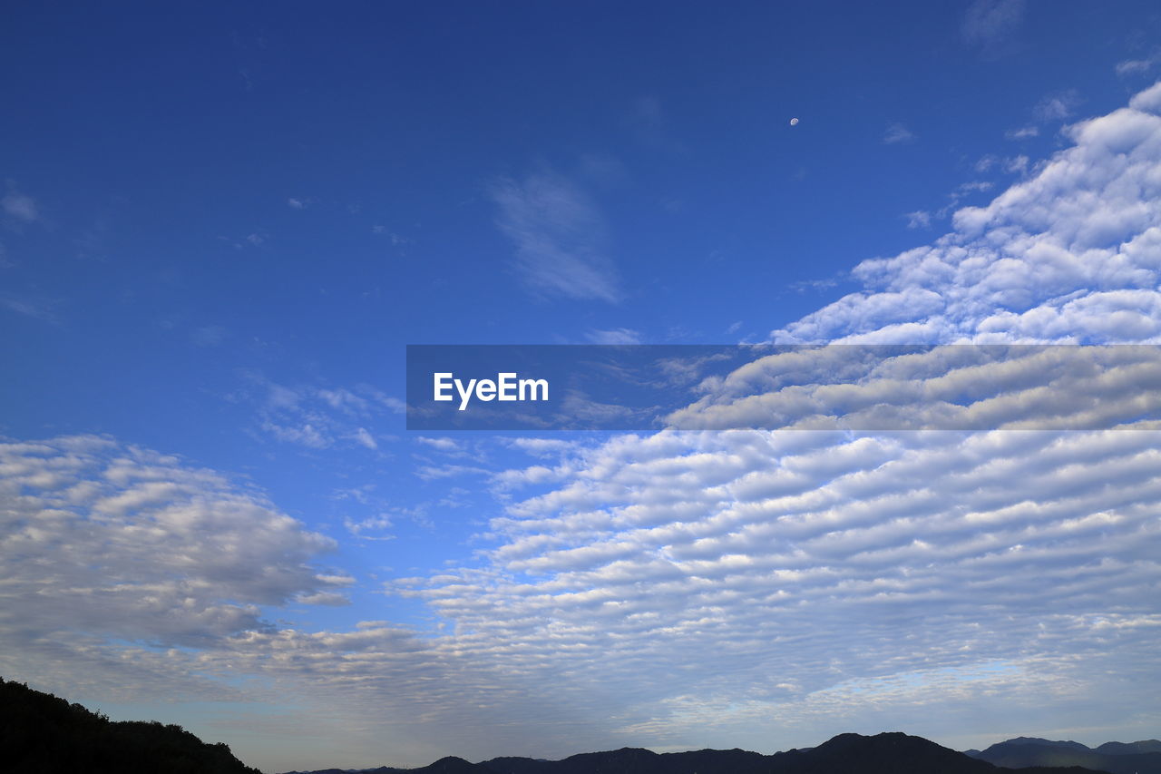 LOW ANGLE VIEW OF SKY