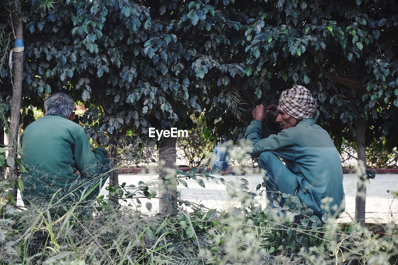 REAR VIEW OF COUPLE SITTING ON PLANT