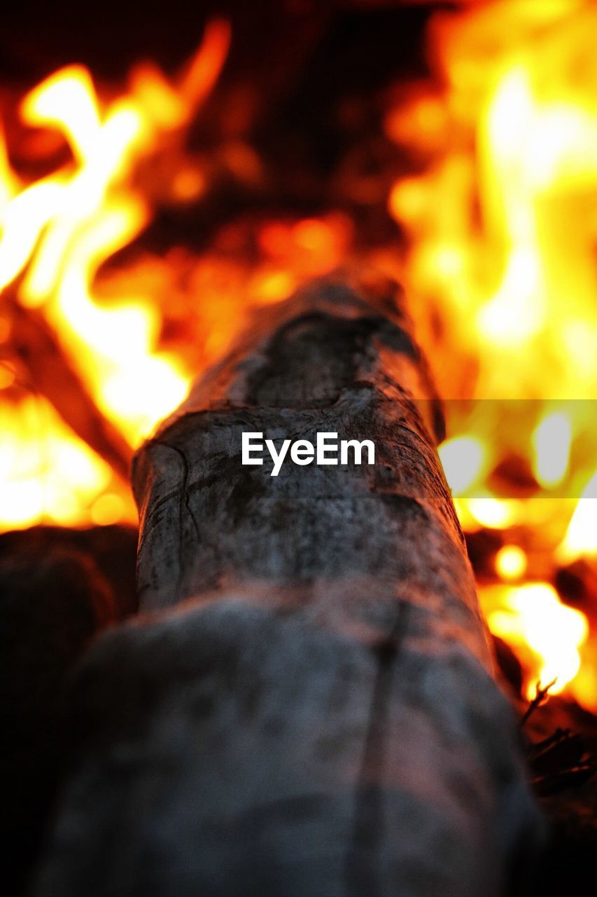 CLOSE-UP OF BURNING BONFIRE