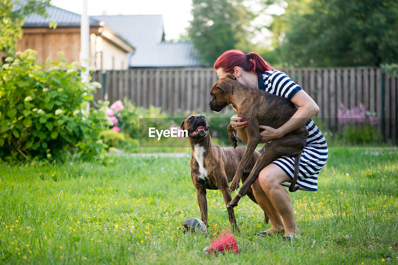 Woman playing with dogs on grass in park