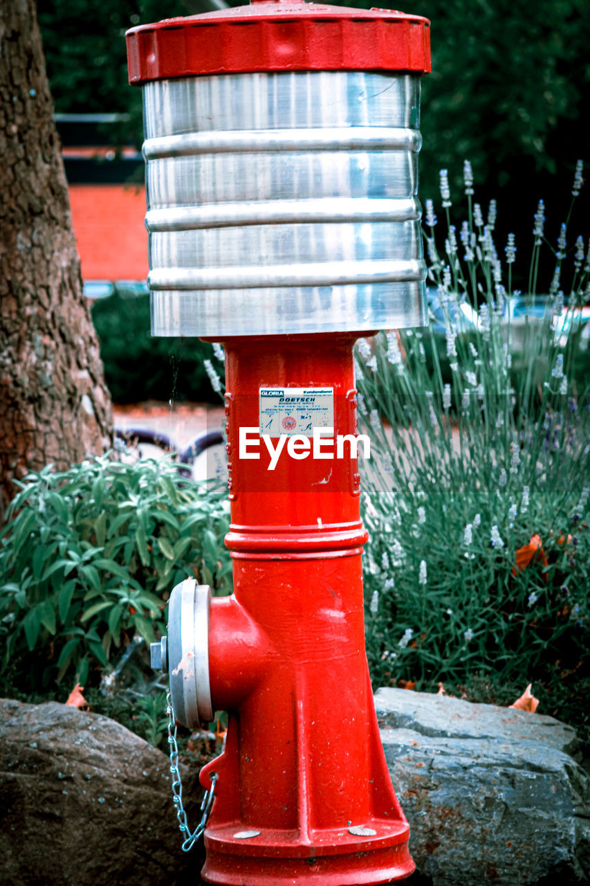 RED FIRE HYDRANT BY PLANTS