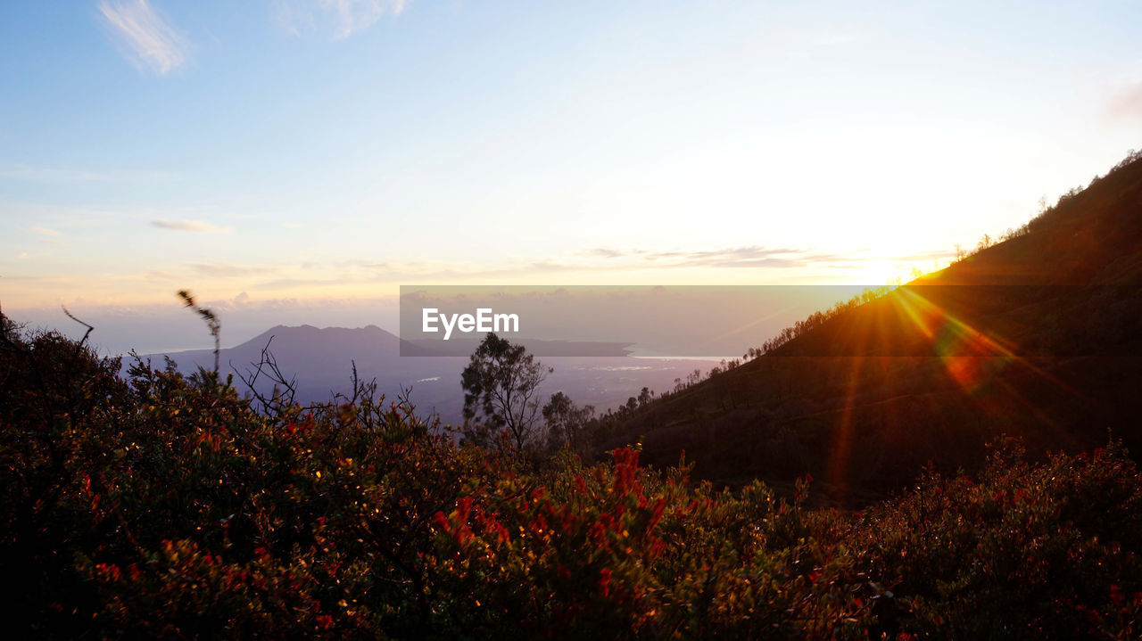 SCENIC VIEW OF SUNSET