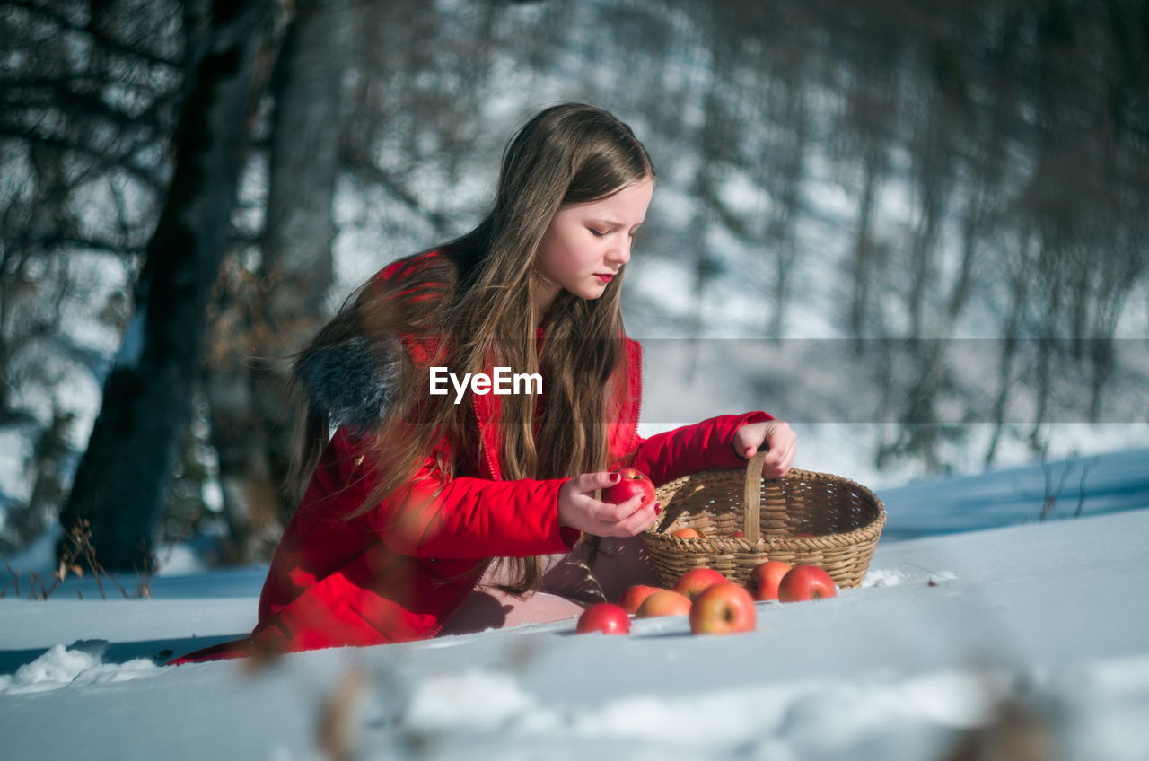 Girl picking apples on snow covered land