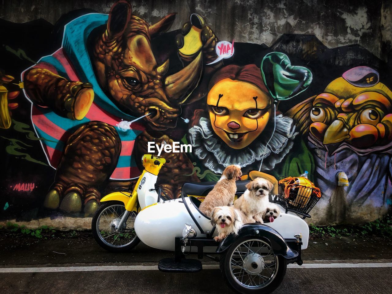 VIEW OF A DOG WITH TOYS