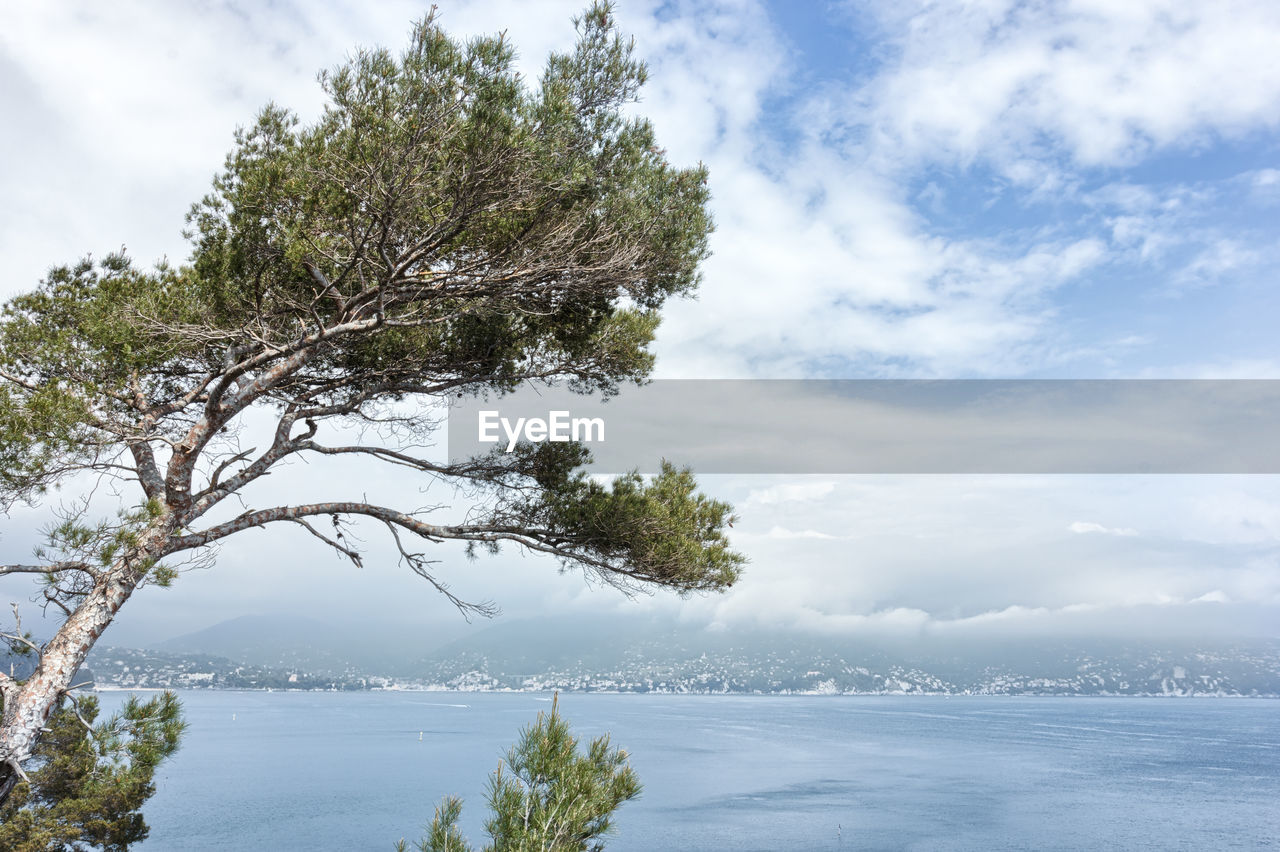 VIEW OF SEA AGAINST SKY