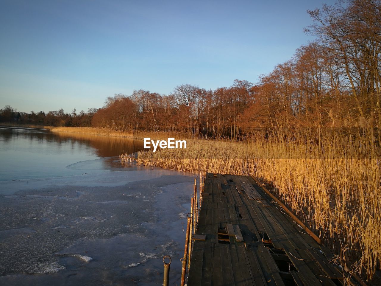 LAKE BY TREES AGAINST SKY