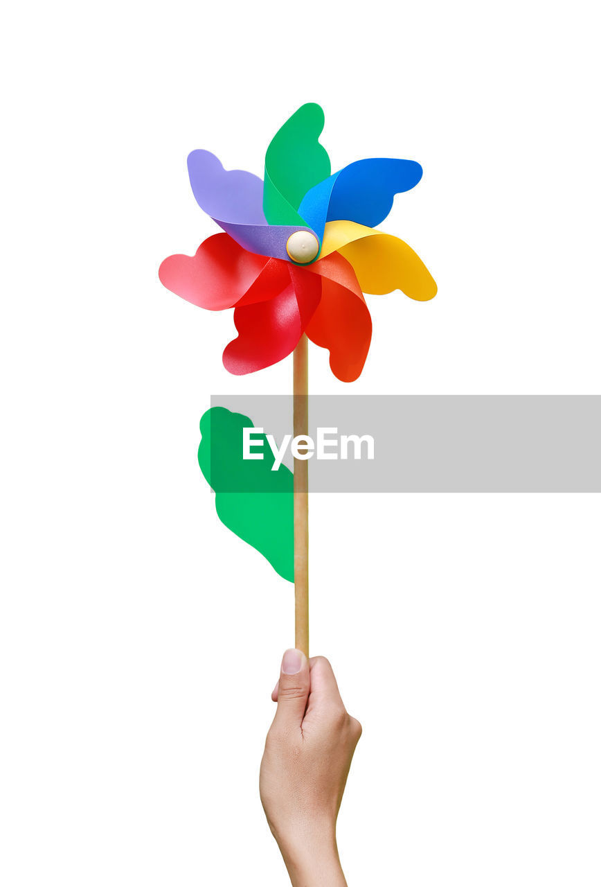 CLOSE-UP OF HAND HOLDING MULTI COLORED FLOWER