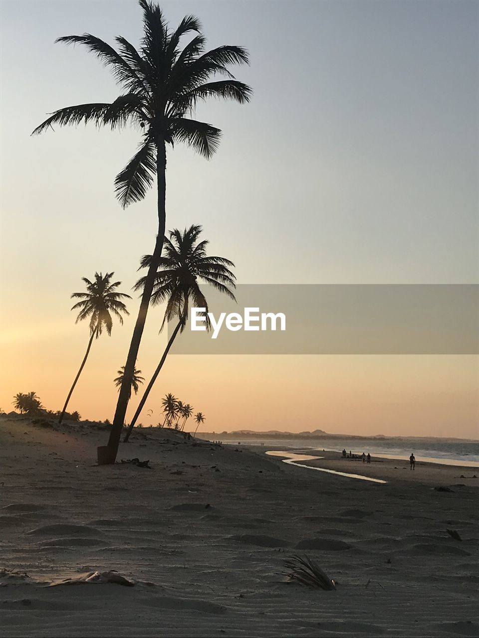 SILHOUETTE PALM TREES ON BEACH AGAINST SKY