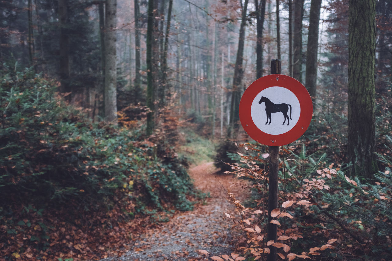 Road sign by trees in forest forbidden horses