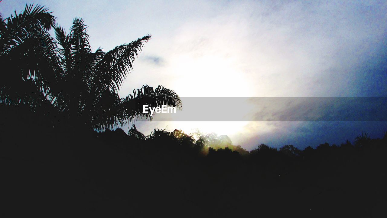 LOW ANGLE VIEW OF SILHOUETTE PALM TREES AGAINST SKY AT SUNSET