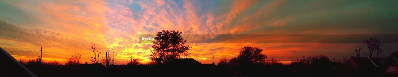 SILHOUETTE TREES AGAINST DRAMATIC SKY DURING SUNSET