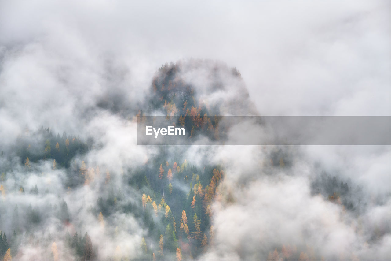 LOW ANGLE VIEW OF CLOUDS AGAINST SKY