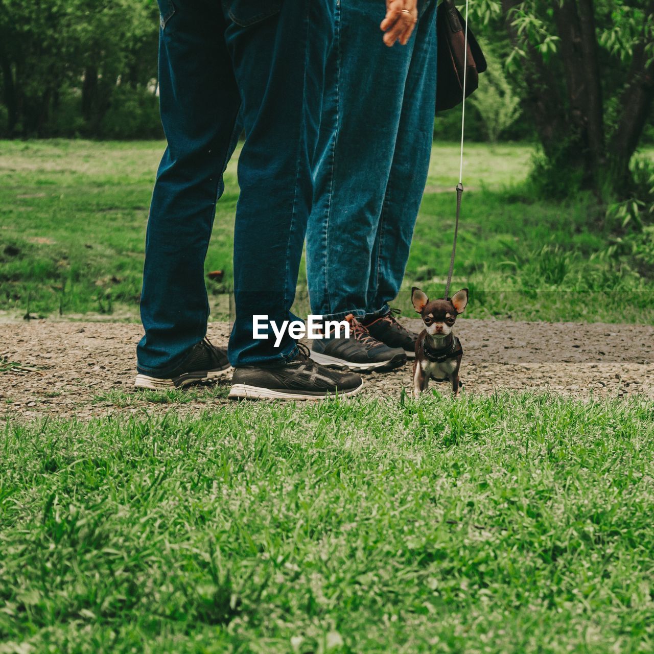 Low section of person standing on field