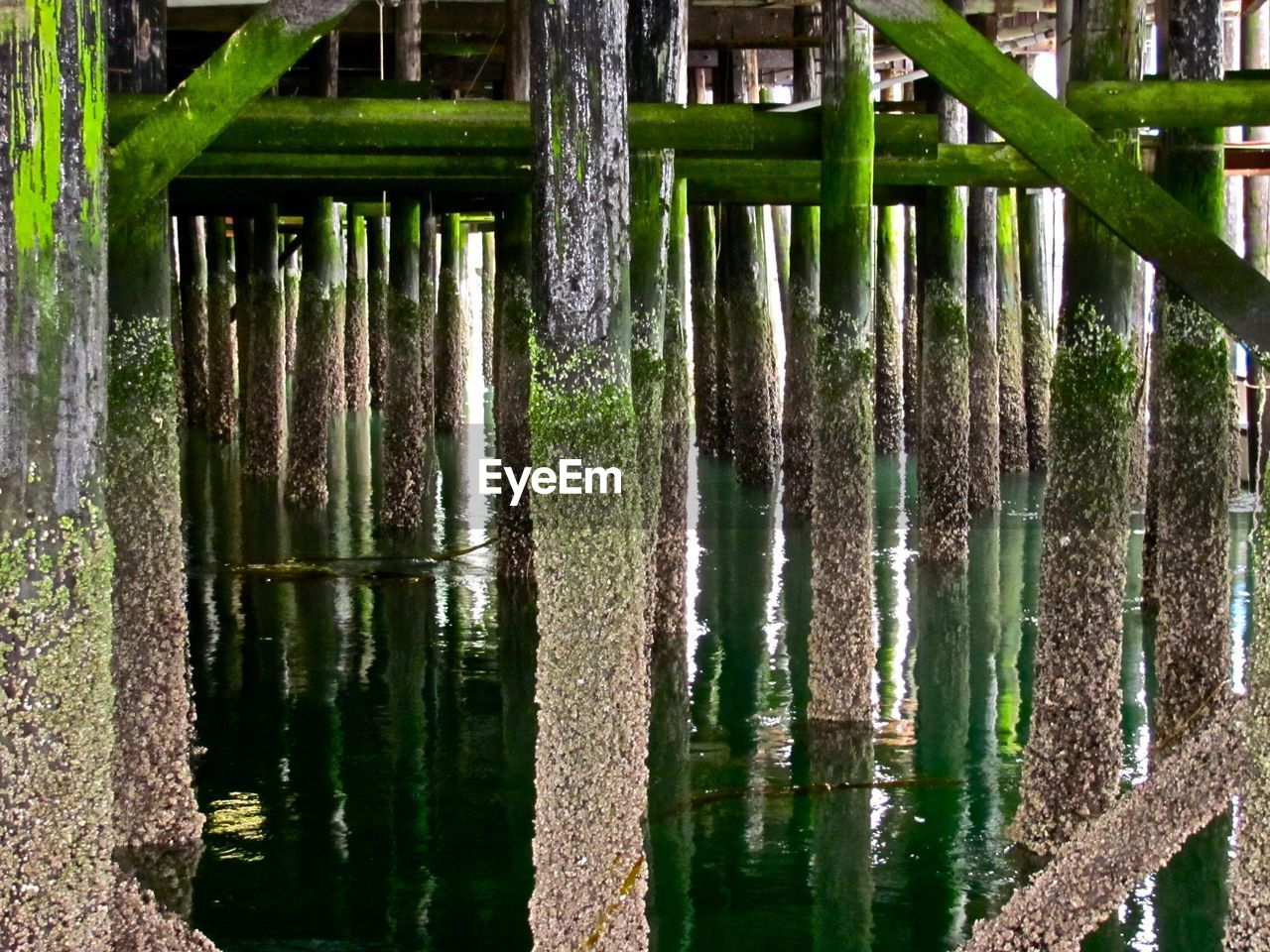 Weathered wooden posts below pier in sea