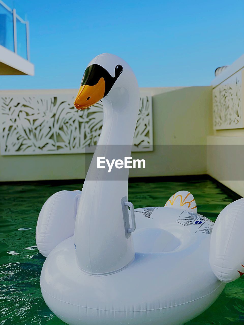 Large inflatable swan in pool 