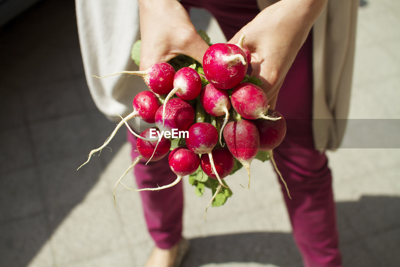 Midsection of person holding radish