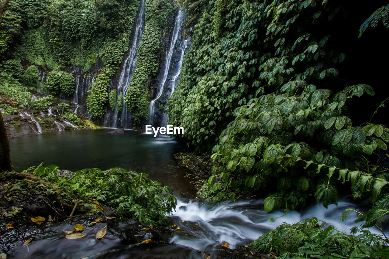 SCENIC VIEW OF WATERFALL