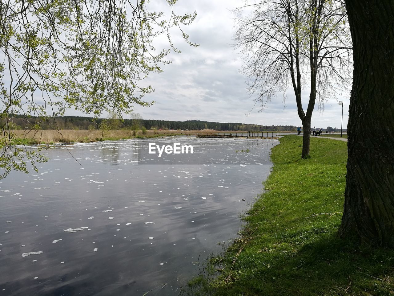 VIEW OF LAKE AGAINST BARE TREES