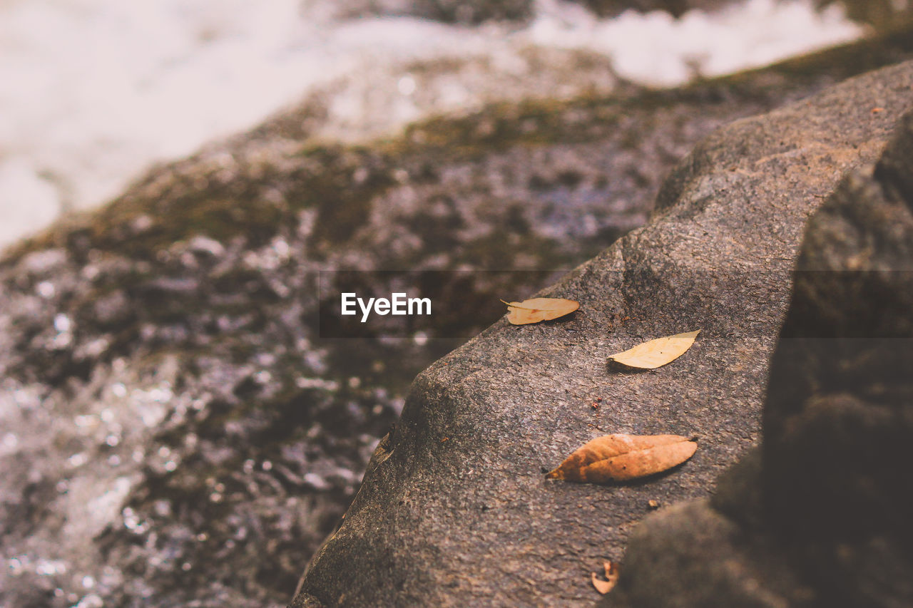 CLOSE-UP OF FRESH ROCK