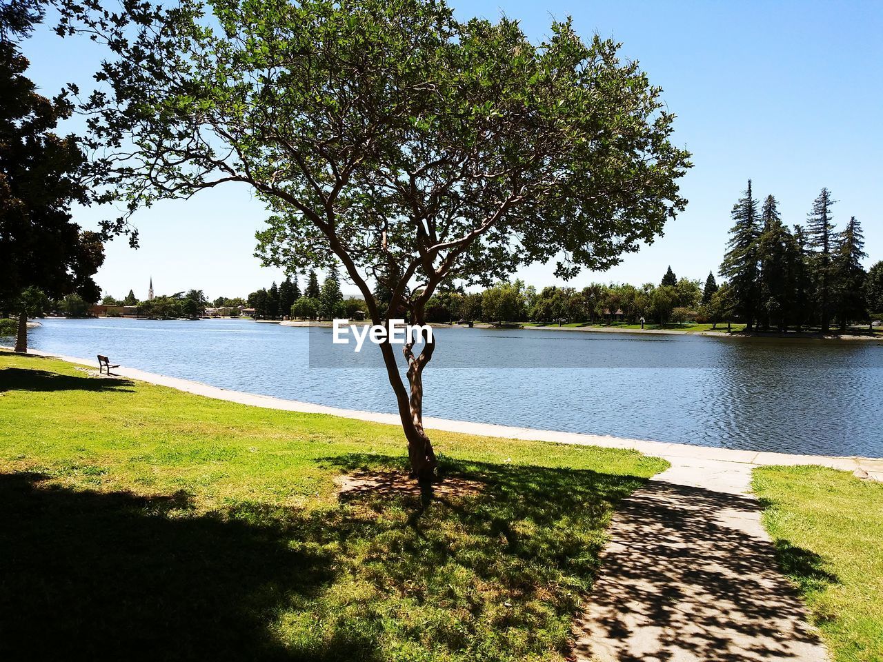 SCENIC VIEW OF LAKE AGAINST TREES