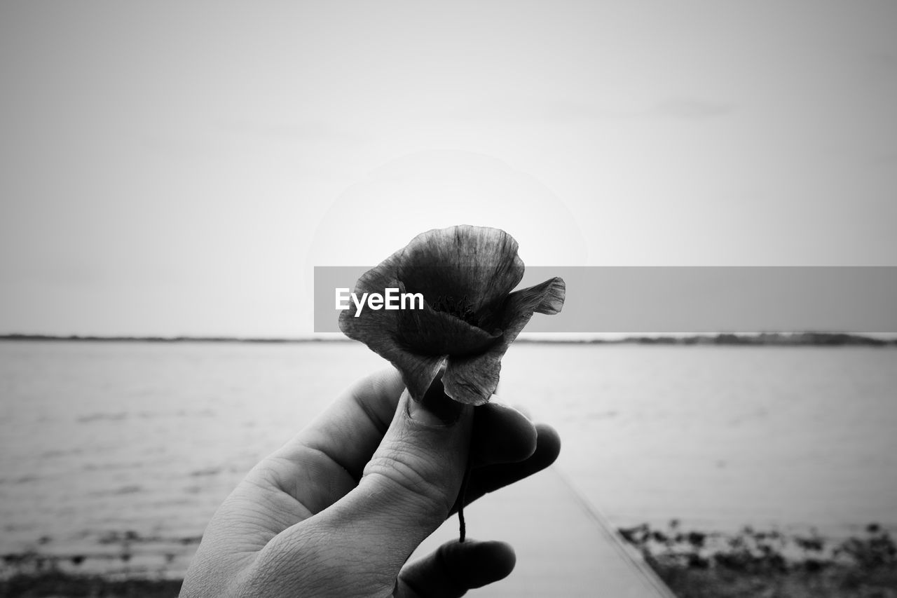 CLOSE-UP OF HAND HOLDING STICK AGAINST SEA