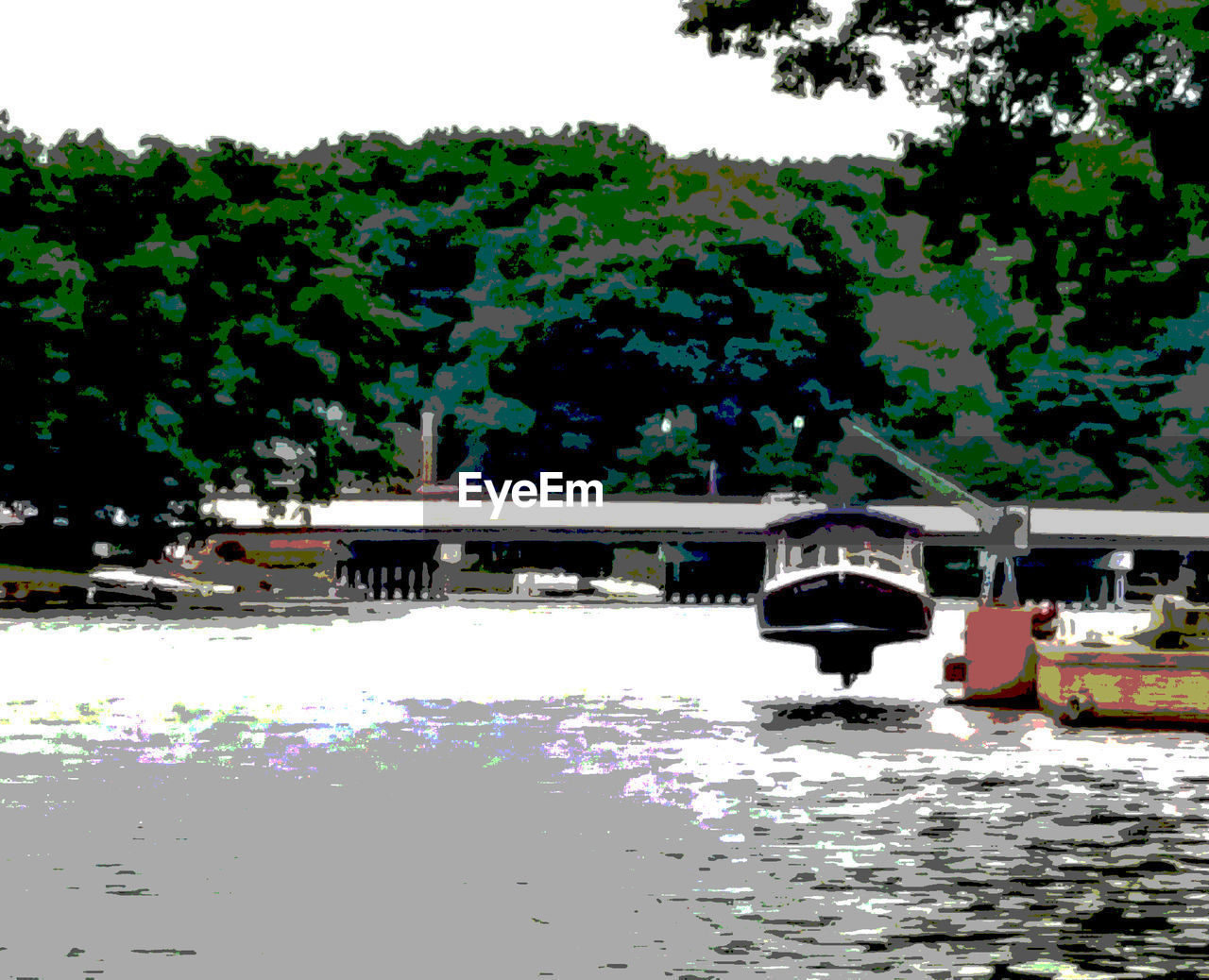 TREES REFLECTING IN WATER