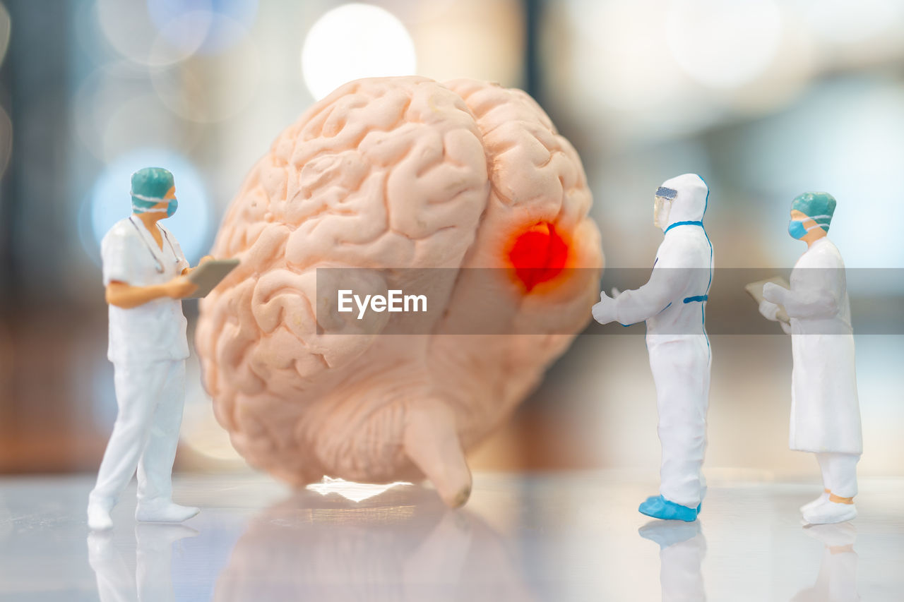 Miniature people doctor and nurse observing and discussing about human brain