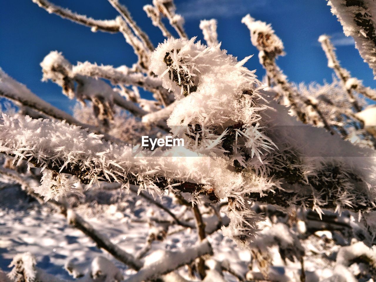CLOSE-UP OF FROZEN ICE