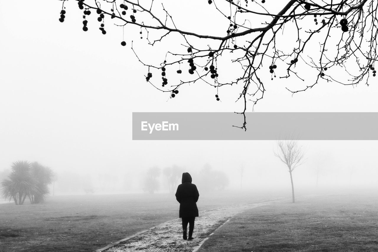 FULL LENGTH REAR VIEW OF WOMAN WALKING ON BARE TREES