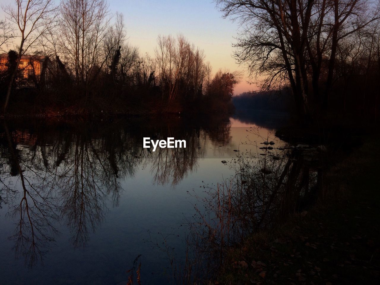 Reflection of trees in lake at sunset