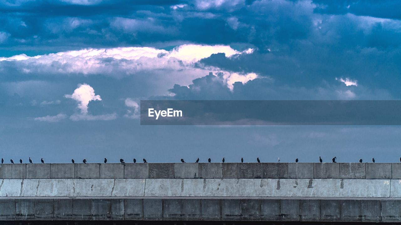 Distant view of birds perching on retaining wall against cloudy sky