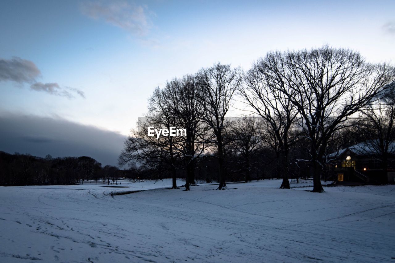 BARE TREES ON SNOW LANDSCAPE AGAINST SKY