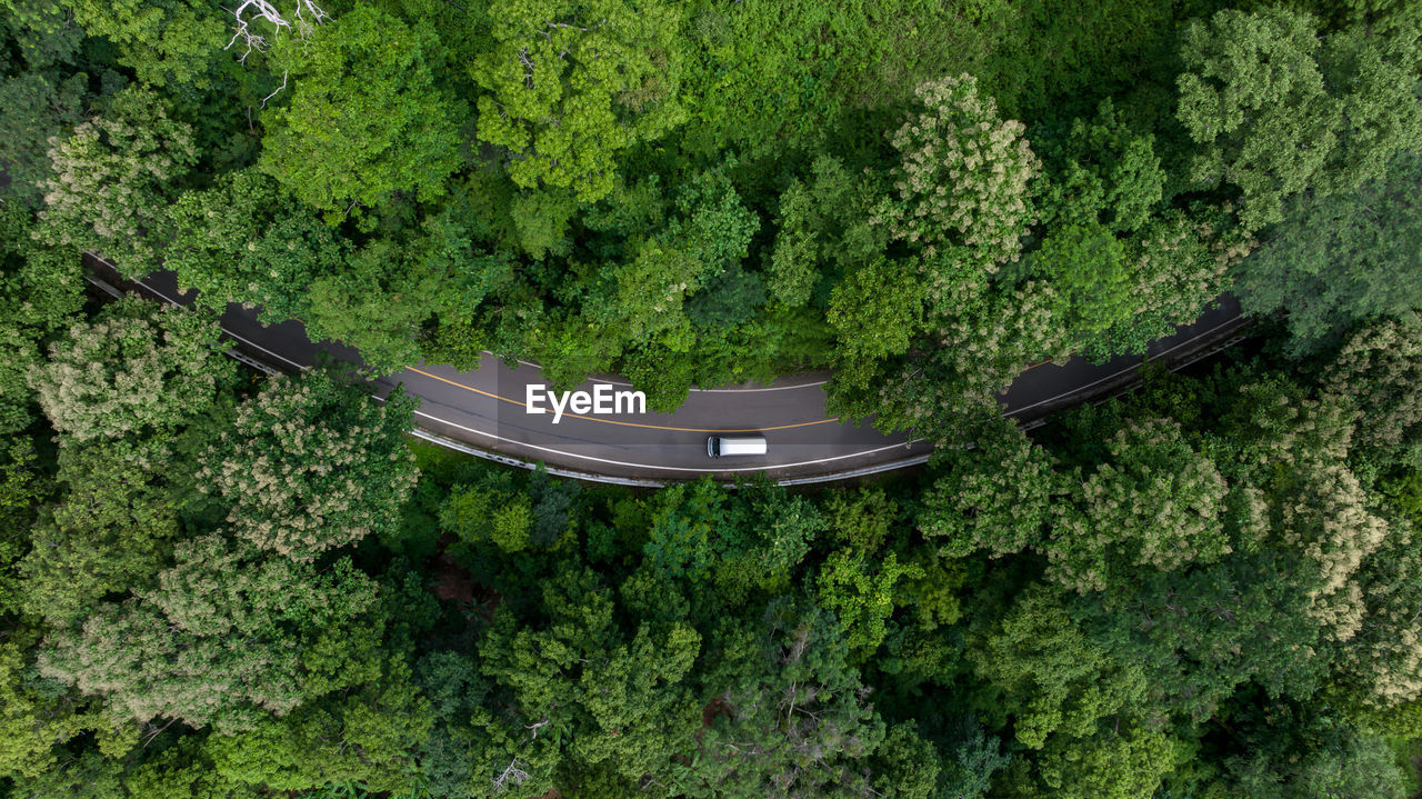 Aerial top view of road in green tree forest, top view from drone of rural road, mountains, forest. 