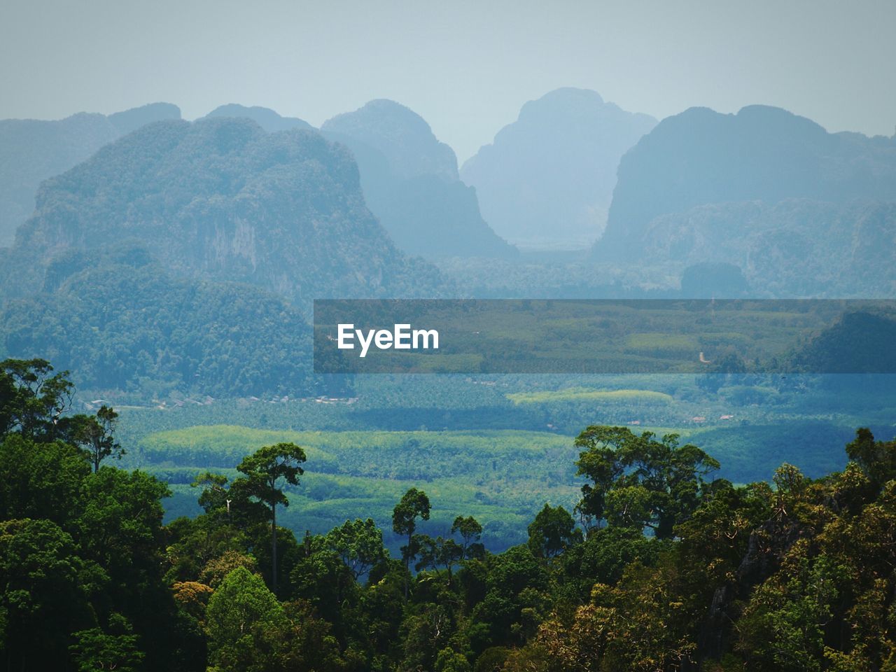 Scenic view of green landscape and mountains against sky