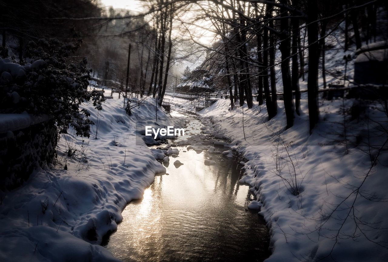 Stream amidst snow covered field in forest