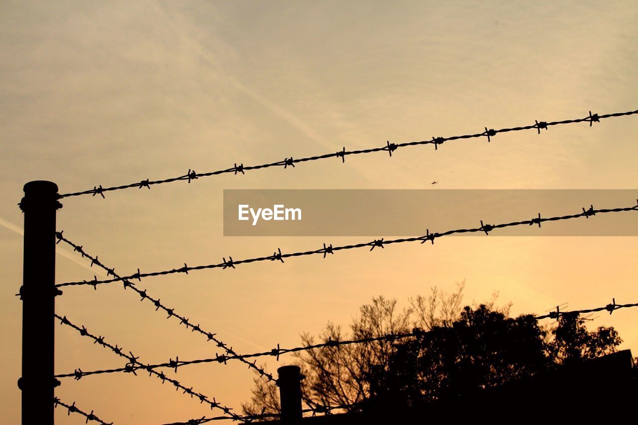 Low angle view of silhouette barbed wire fence and tree against sky during sunset