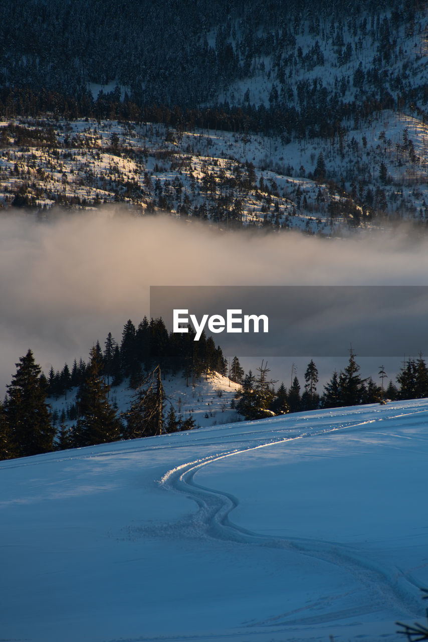 AERIAL VIEW OF SNOW COVERED LANDSCAPE