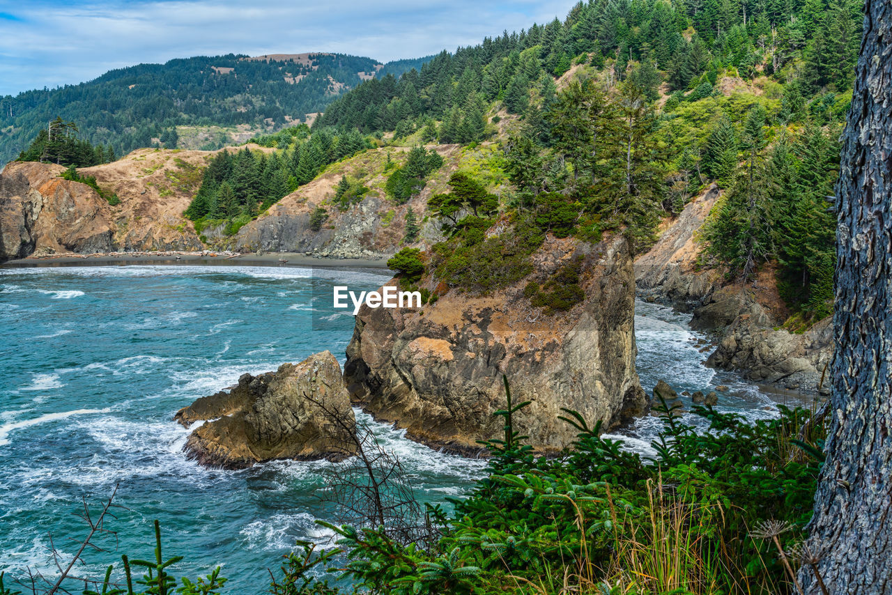 water, land, scenics - nature, plant, beauty in nature, tree, nature, environment, sea, body of water, mountain, landscape, cliff, rock, sky, no people, travel destinations, travel, pine tree, coast, beach, pinaceae, tranquility, forest, coniferous tree, tranquil scene, tourism, outdoors, non-urban scene, coastline, wilderness, day, pine woodland, cloud, terrain, idyllic, mountain range, blue