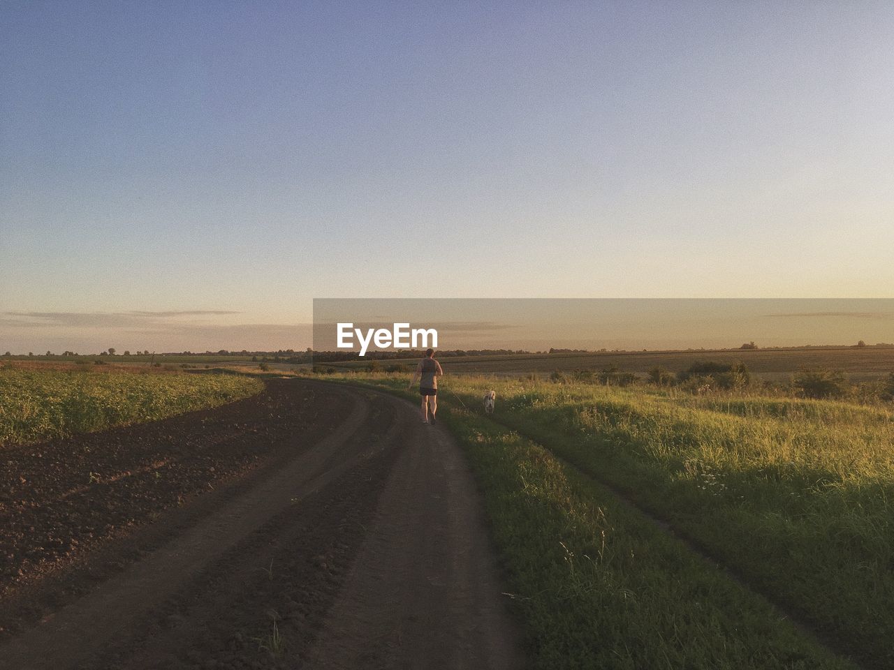 A man walking in a field with his dog. summer 2020, russia