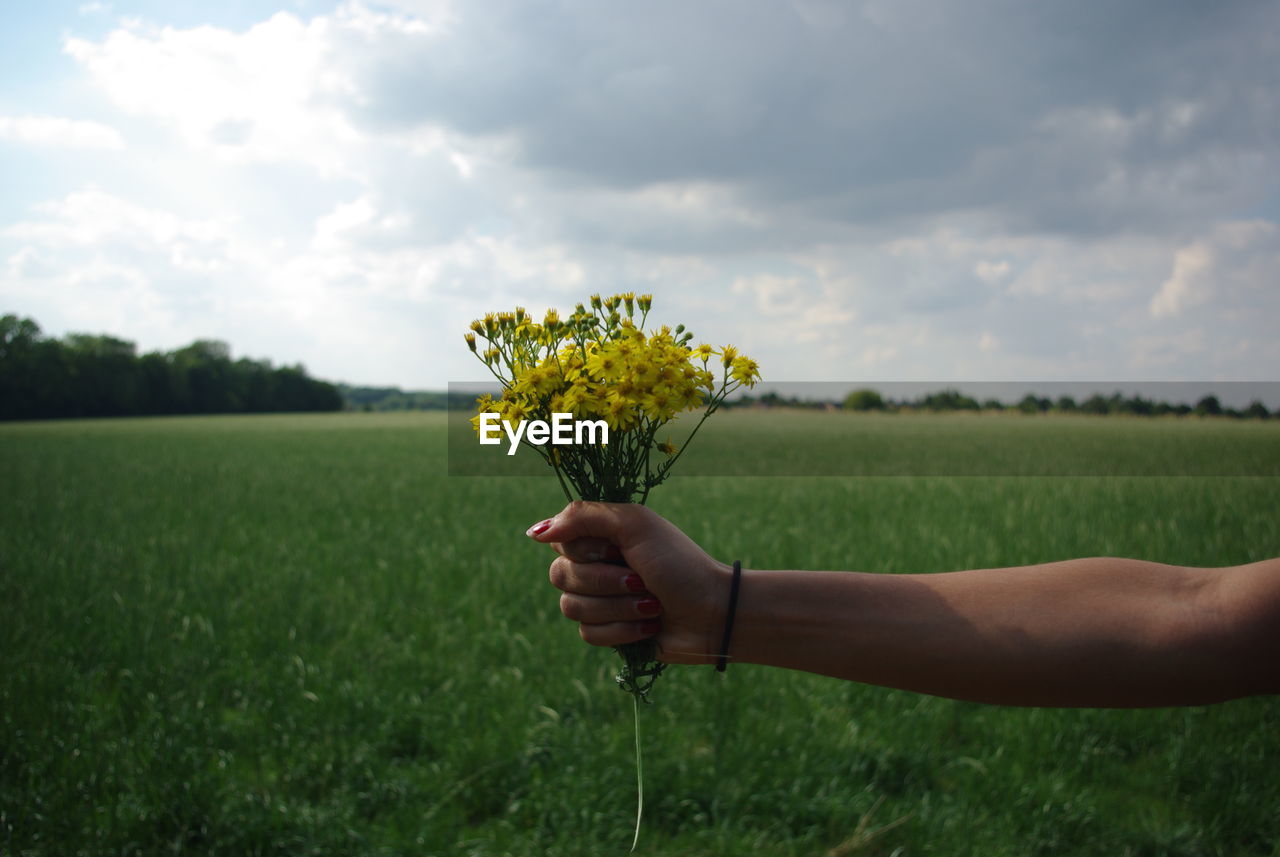 Cropped image of woman holding yellow flowers on field against sky